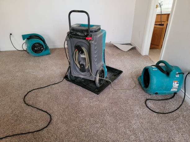 Best Flooded house restoration  in Stallings, NC