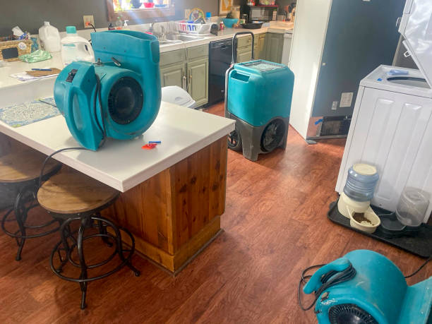 Best Water damage contractors near me  in Stallings, NC