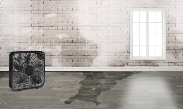 , NC Water damage restoration Company