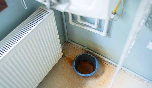 Best Water damage cleanup near me  in Stallings, NC
