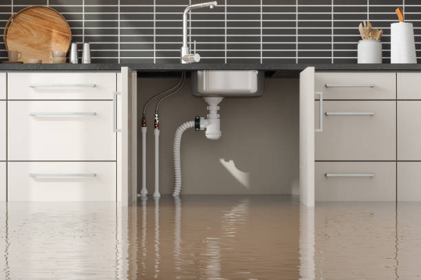 Best Local water damage restoration  in Stallings, NC