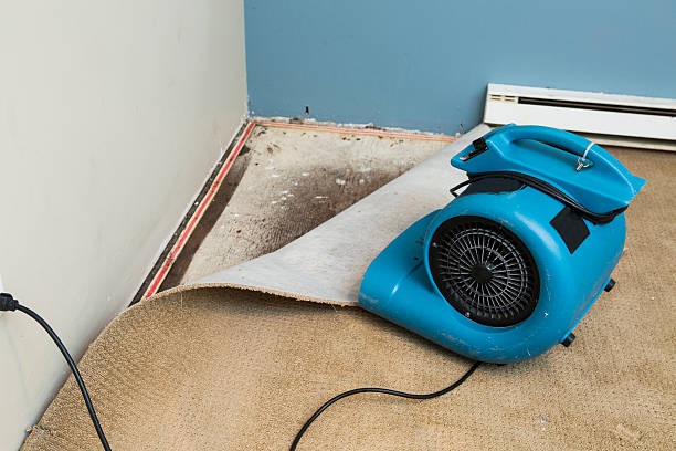 Best Professional water damage repair  in Stallings, NC